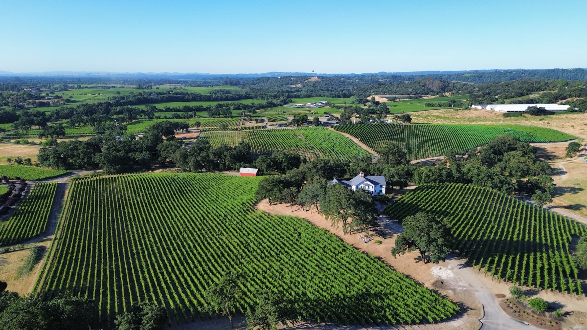 Estate over the Russian River Valley