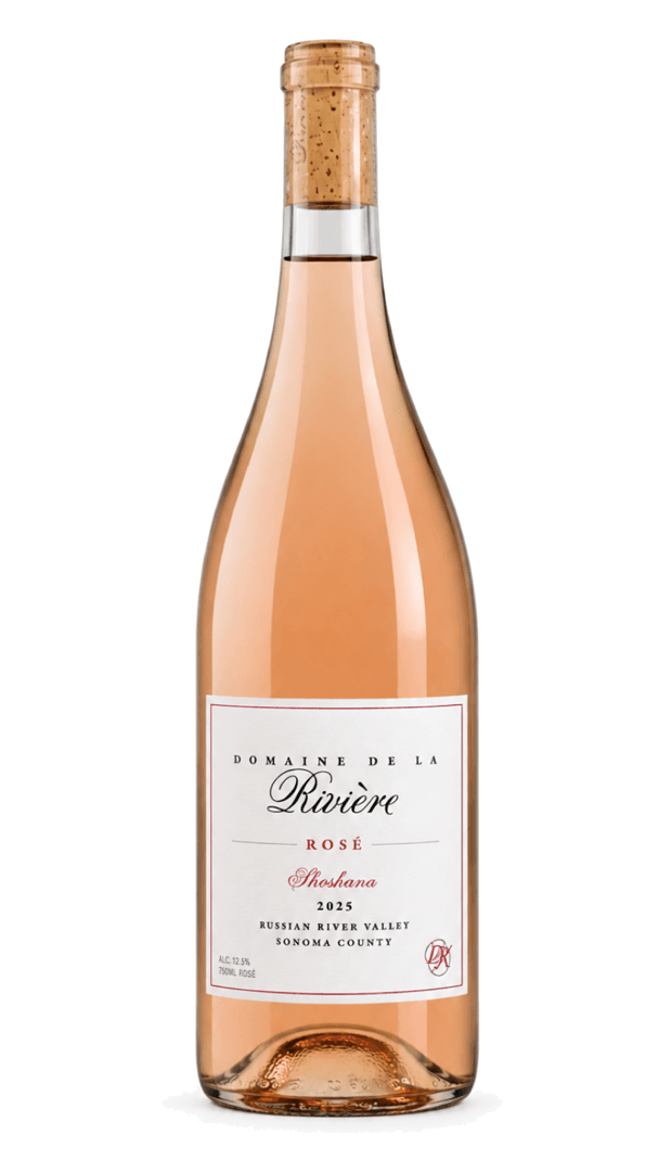 Bottle · Shoshana Rosé bottle