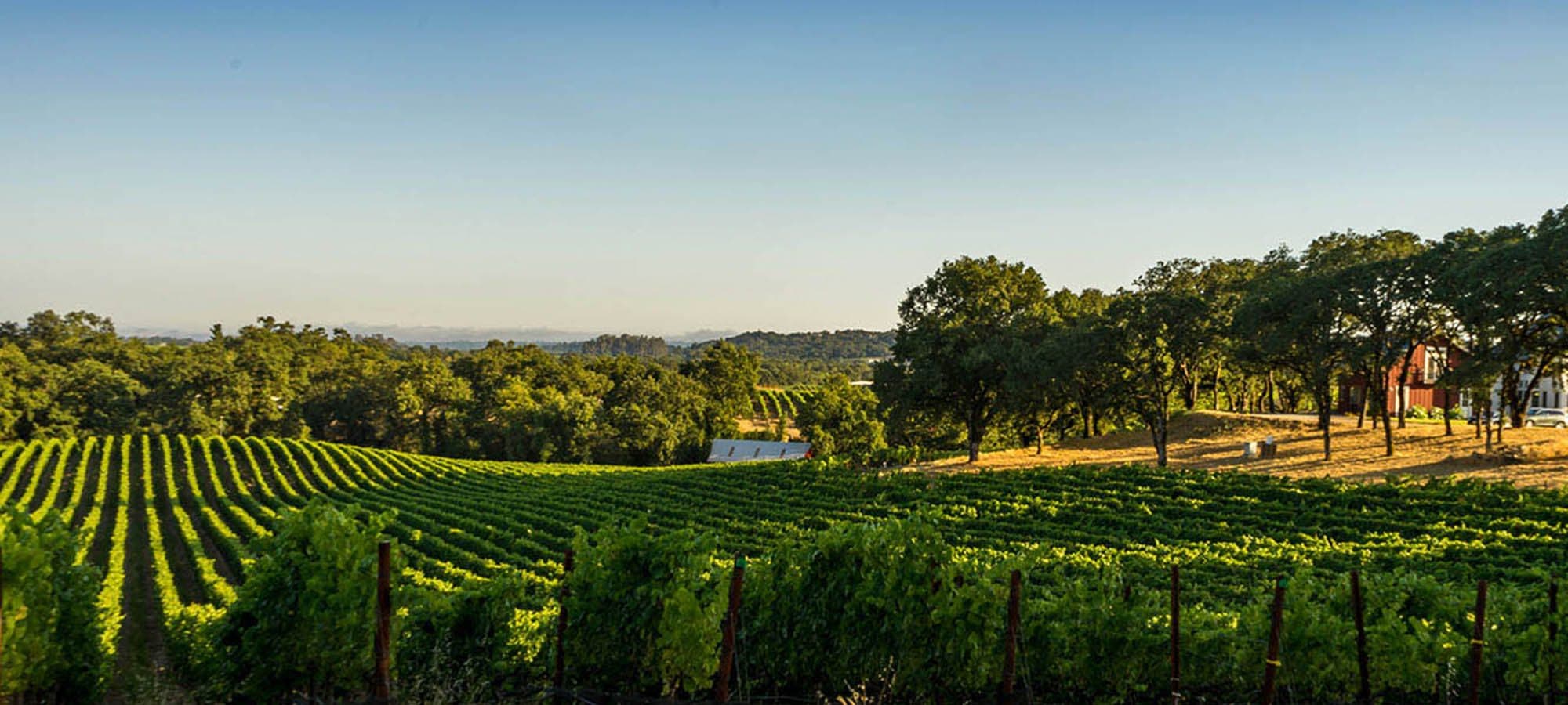 Photo: a hosted tasting at the estate, full-bleed