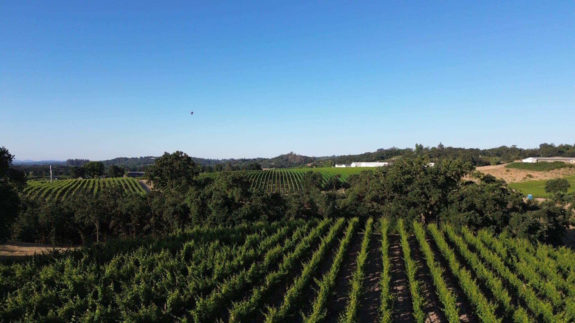 Best California Chardonnay