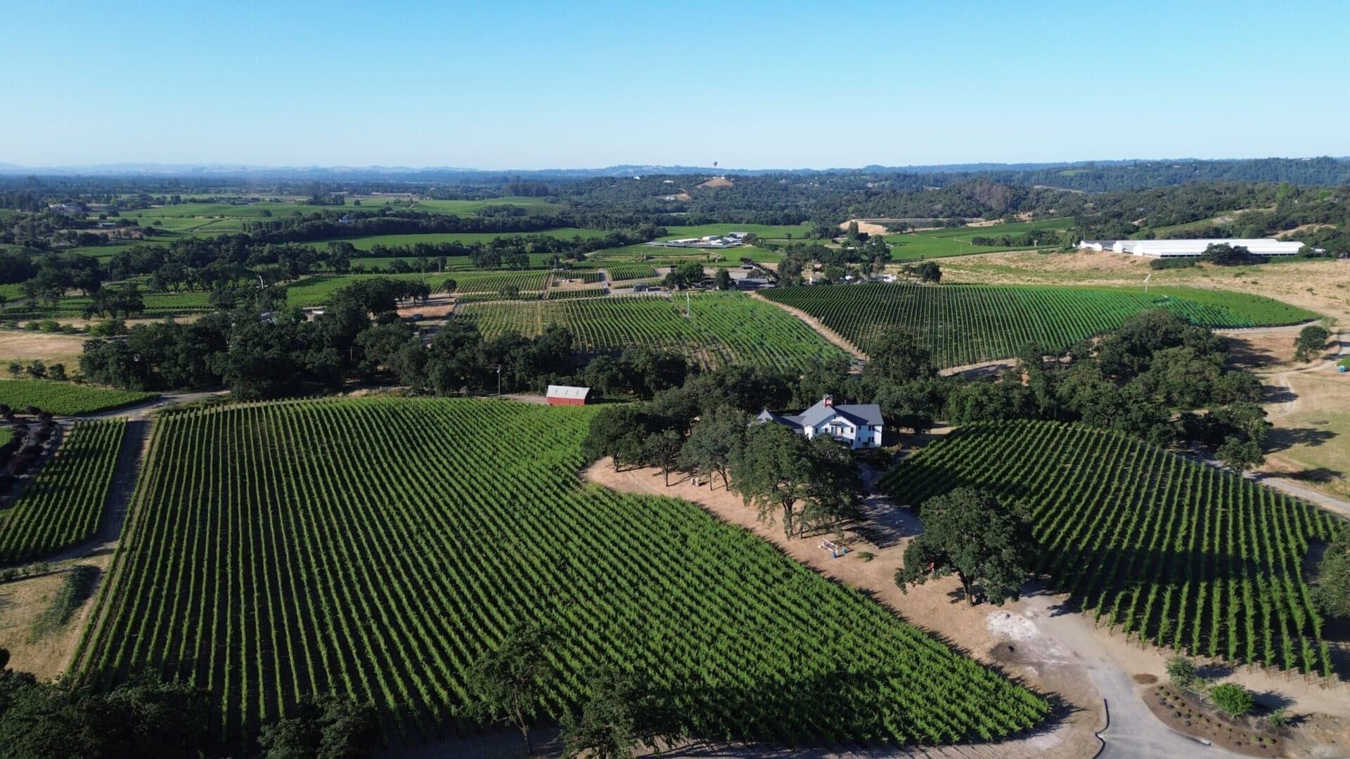 Domaine de la Rivière Wines, Explained: Every Pinot Noir, Chardonnay & Rosé